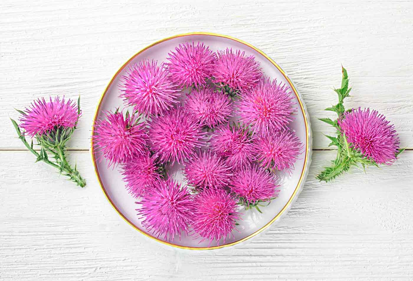 Silymarin is the active compound commonly found in milk thistle - My Skin Compounding Pharmacy Brisbane